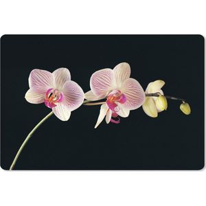 Muismat XXL - Bureau onderlegger - Bureau mat - Orchidee - Bloemen - Zwart - Roze - Knoppen - 120x80 cm - XXL muismat
