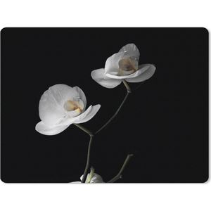 Muismat XXL - Bureau onderlegger - Bureau mat - Orchidee - Bloemen - Zwart - Wit - Stilleven - 80x60 cm - XXL muismat