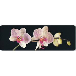 Muismat XXL - Bureau onderlegger - Bureau mat - Orchidee - Bloemen - Zwart - Roze - Knoppen - 90x30 cm - XXL muismat