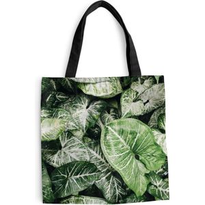 MuchoWow® Schoudertas - Strandtas - Big Shopper - Boodschappentas - Bladeren - Planten - Groen - 45x45 cm - Katoenen tas