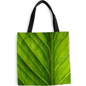 MuchoWow® Schoudertas - Strandtas - Big Shopper - Boodschappentas - Foto van een lichtgroen botanisch blad - 40x40 cm - Katoenen tas