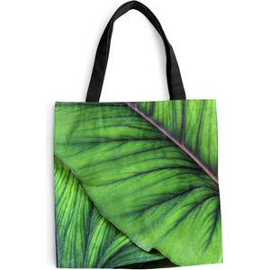 MuchoWow® Schoudertas - Strandtas - Big Shopper - Boodschappentas - Foto van grote tropische botanische bladeren - 45x45 cm - Katoenen tas