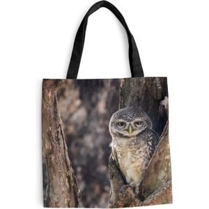 MuchoWow® Schoudertas - Strandtas - Big Shopper - Boodschappentas - Uil - Boom - Bos - 45x45 cm - Katoenen tas