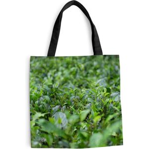 MuchoWow® Schoudertas - Strandtas - Big Shopper - Boodschappentas - Groene planten op ondergrond van tropisch gebied - 40x40 cm - Katoenen tas