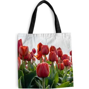 MuchoWow® Schoudertas - Strandtas - Big Shopper - Boodschappentas - Een gebied met rode tulpen in Nederland - 40x40 cm - Katoenen tas