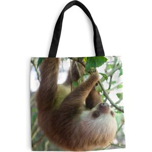 MuchoWow® Schoudertas - Strandtas - Big Shopper - Boodschappentas - Baby luiaard in het regenwoud van Costa Rica - 45x45 cm - Katoenen tas