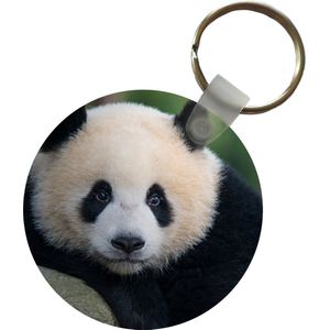 Sleutelhanger - Panda - Wilde dieren - Portret - Steen - Plastic - Rond - Uitdeelcadeautjes