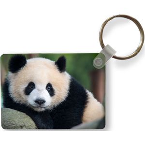 Sleutelhanger - Panda - Wilde dieren - Portret - Steen - Uitdeelcadeautjes - Plastic