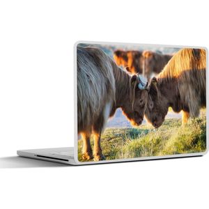 Laptop sticker - 12.3 inch - Schotse Hooglanders - Dieren - Zon - 30x22cm - Laptopstickers - Laptop skin - Cover