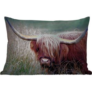Buitenkussens - Schotse Hooglander - Hoorns - Gras - 60x40 cm - Weerbestendig