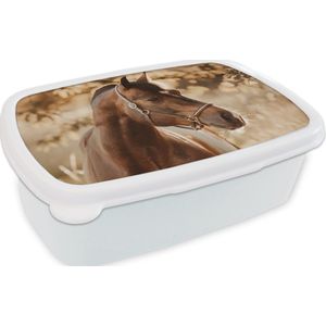 Broodtrommel Wit - Lunchbox Paard - Zon - Portret - Natuur - Bruin - Brooddoos 18x12x6 cm - Brood lunch box - Broodtrommels voor kinderen en volwassenen