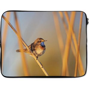 Laptophoes 17 inch - Vogels - Blauwborst - Riet - Laptop sleeve - Binnenmaat 42,5x30 cm - Zwarte achterkant