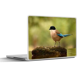 Laptop sticker - 14 inch - Ekster - Vogel - Mos - 32x5x23x5cm - Laptopstickers - Laptop skin - Cover