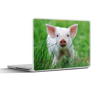 Laptop sticker - 14 inch - Varken - Dieren - Big - 32x5x23x5cm - Laptopstickers - Laptop skin - Cover