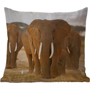 DNAVSOETR 3D-bedrukte olifant, vierkante kussenslopen, kussensloop, kussen, tuinkussen, superzacht, set van 2 voor sofa, bank, bed, 45 x 45 cm