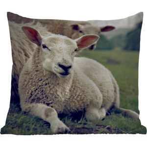 Sierkussen Buiten - Schapen - Lam - Gras - 60x60 cm - Weerbestendig