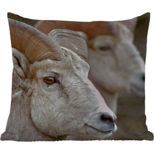 Buitenkussen - Ram - Hoorn - Schapen - 45x45 cm - Weerbestendig