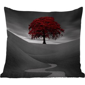 Tuinkussen - Zwart-wit foto met een rode boom - 40x40 cm - Weerbestendig