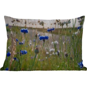 Buitenkussens - Tuin - Bloemen - Zomer - Korenbloem - Blauw - Zon - Wolken - 50x30 cm