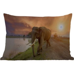 Buitenkussens - Olifant - Water - Dieren - Zonsondergang - Natuur - 60x40 cm - Weerbestendig