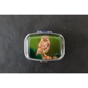 Pillendoos bruine Uil