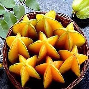 Haloppe 50 stks Thai Star Fruit Zaden voor Thuis Tuin Planten, Thai Star Fruit Zaden Sappige Carambola Exotische Boom Zaad Hoge Kieming