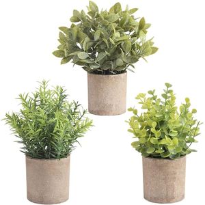 Kunstmatige Mini Eucalyptus 3 Packs Kunstmatige Plastic Plant met Pot voor Home Office Desk Decoratie