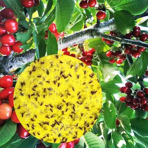 Kleverige insectenvallen, madenvanger voor planten en fruitvliegen, 50 cirkelvormige gele borden