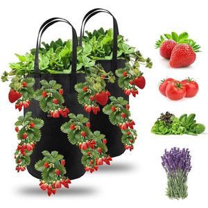 Aardbeienplantenzak, plantenzak, kweekzak met handvatten, hangende aardbeienplantenzakken met 13 gaten voor planten/kruiden/bloemen, 2 stuks 3 gallon (pak van 2, zwart)