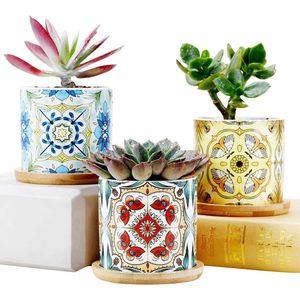 Succulent Plant Potten Cactus Pot Mini Plant Decoratief Keramiek Indoor Bloem Potten Planten Cadeau Idee Vlinder Libel Mot Series Home Office Decorations
