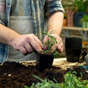 Zwarte vierkante plantenpotten - 8 cm hoog, 7 cm breed, 25 stuks - Plastic zaadpotten die geweldig zijn voor het starten van zaden of het opkweken van stekken (meerdere maten beschikbaar)
