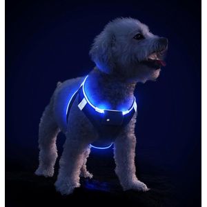 Hondentuig Lichtgevend USB Oplaadbaar Reflecterend Lichtharnas LED-licht Borsttuig voor puppy's Kleine middelgrote hond Knipperend Ademend en lichtgewicht Zwart Blauw M