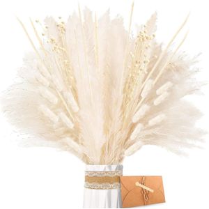 Gedroogd Pampasgras - Natuurlijke Gedroogde Bloemen set, Witte Pampasgras Pluizige Bladeren, Lagurus en Rietbloem Gedroogd Boeket voor Bloemstukken Home Decor, Geschenken en decoraties
