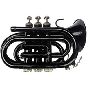 Yasisid Standaard Trompetset in si bémol met hardcase, reinigingsset, 7C mondstuk en handschoenen voor volwassenen of kinderen, beginners (goud