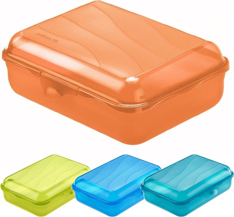 Rotho Lunchbox Fun medium 1,25L transparant transparant Kunststof Rotho Vershoudoos (20.0000cm x 15.0000cm)
