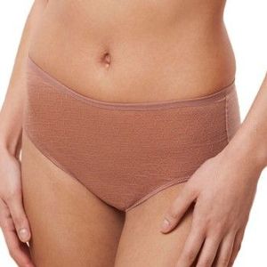 Triumph maxislip Signature Sheer bruin