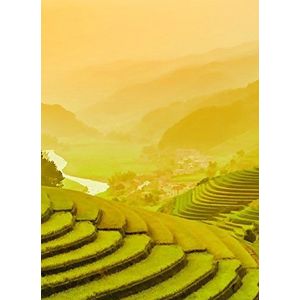 Wizard + Genius 5032-2P-1 Fotobehang""Terraced Rice Field In Vietnam