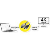 Roline DisplayPort - HDMI (Type A) (5 m, HDMI, DisplayPort), Videokabel