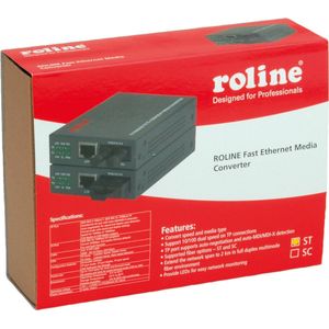 ROLINE Fast Ethernet Converter - RJ-45 - ST - Grijs