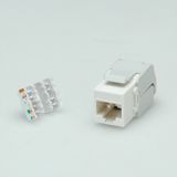 ROLINE - Cat.6 Keystone - Onafgeschermd - Wit - RJ45 Jack