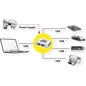 ROLINE - USB 2.0 Hub - 4 Poorts - Zwart en Wit - Met Voeding