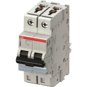 ABB Stroomonderbreker type C, Pol 2 1A 440V SMISSLINE TP DIN-railmontage