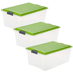 Rotho Compact Set van 3 opbergboxen 38l met deksel, Kunststof (PP) BPA-vrij, transparant/groen, 3 x A3/38l (57.0 x 40.0 x 25.0 cm)