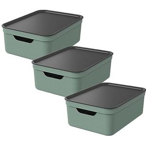 Rotho Albris Opbergdoos 45 l met deksel, kunststof (PP gerecycled), transparant/zwart, 45 l (57,0 x 39,2 x 27,0 cm), niet van toepassing Rotho Albris Opbergdoos 45 l met deksel, kunststof (PP gerecycled), transparant/zwart, 45 l (57,0 x 39,2 x 27,0 cm), niet van toepassing