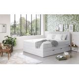 COTTA Boxspringbett »Shark inkl. Bettkasten und Topper«, erhältlich in den Breiten 140x200cm, 160x200cm und 180x200cm