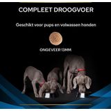 PURINA PRO PLAN Veterinary Diets DRM Dermatosis - 12 kg