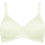 TRIUMPH Minimizer  wit