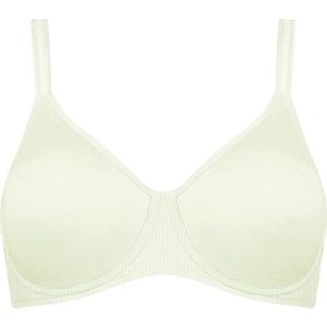 TRIUMPH Minimizer  wit