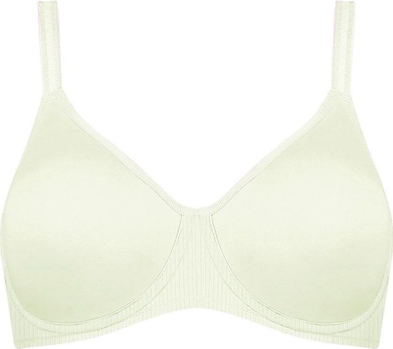 TRIUMPH Minimizer  wit