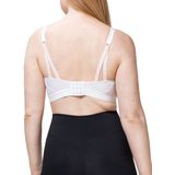 Triumph Sport-BH Triaction Free Motion